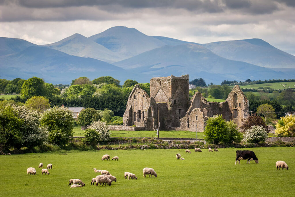 Irish Farming