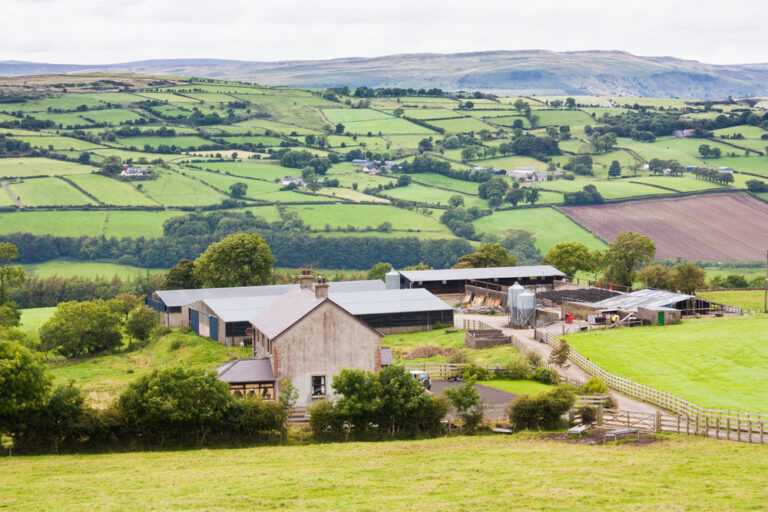 Read more about the article DISCOVERING IRELAND’S LOCAL FOOD LANDSCAPE FROM FARM TO TABLE