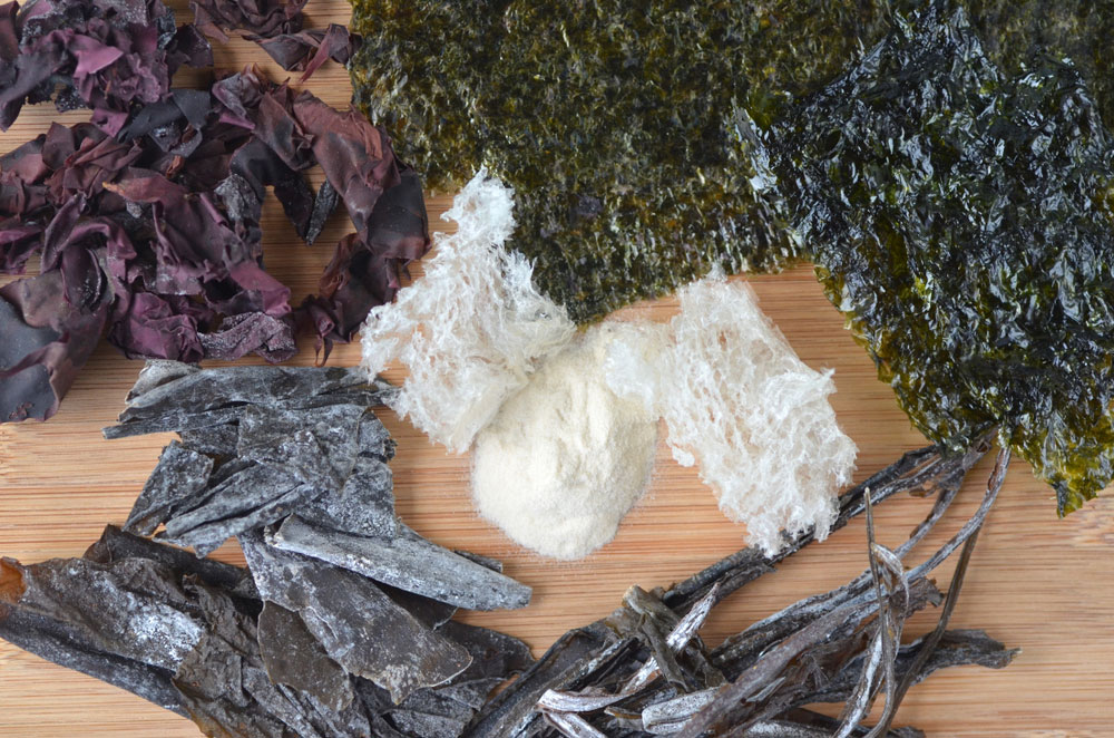 Dried seaweed varieties including nori, kelp, dulse, wakame, alaria and agar