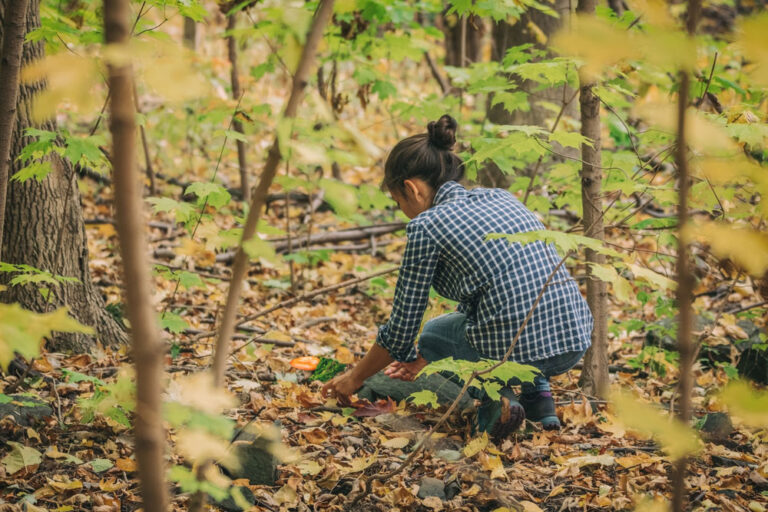 Read more about the article THE ART OF FORAGING IN IRELAND: DISCOVERING WILD FOODS AND EDIBLES