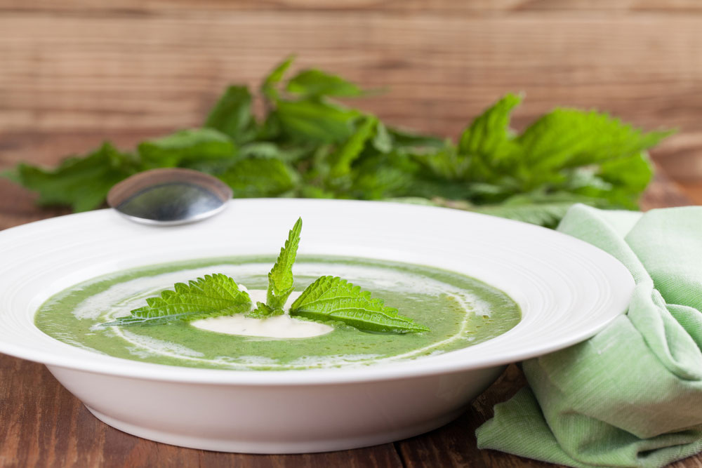 You are currently viewing NETTLE SOUP