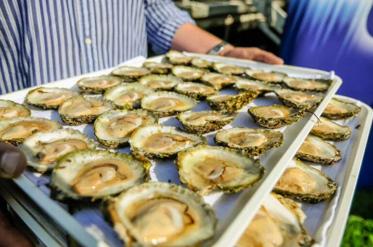 Read more about the article THE STORY OF IRISH OYSTERS: FROM COAST TO PLATE