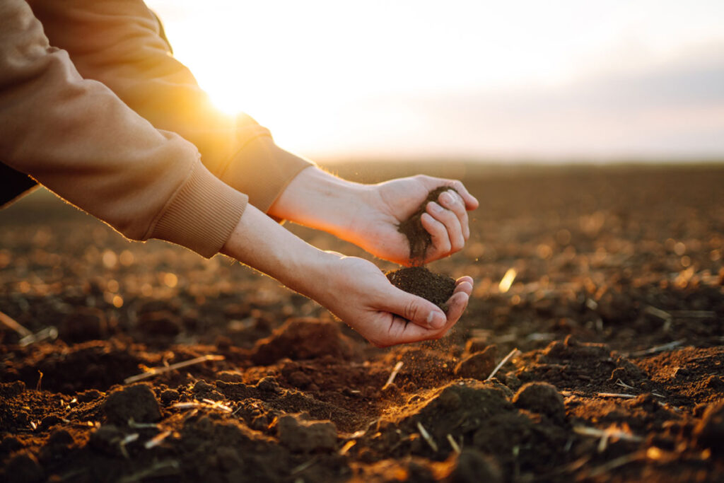 Crop Rotation and Soil Management