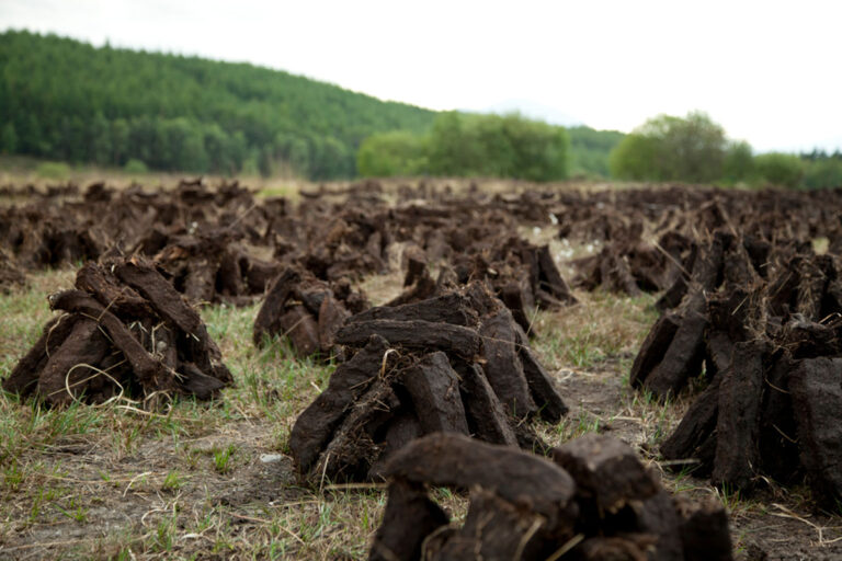 Read more about the article COOKING OVER TURF: REDISCOVERING ANCIENT IRISH COOKING METHODS